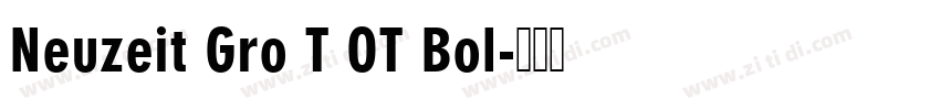 Neuzeit Gro T OT Bol字体转换